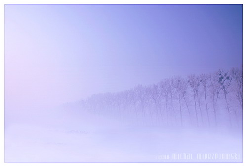 ���� :: �������� Michal Mierzejewski ���� 30