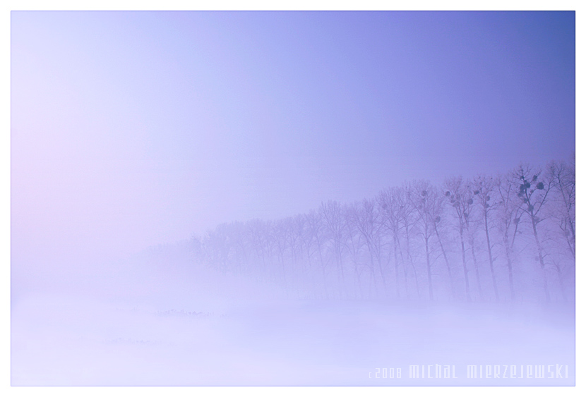 ���� :: �������� Michal Mierzejewski :: ���������� 2