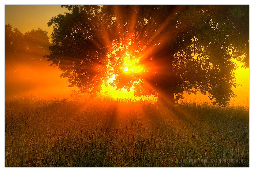 ���� :: �������� Michal Mierzejewski :: ���������� 2