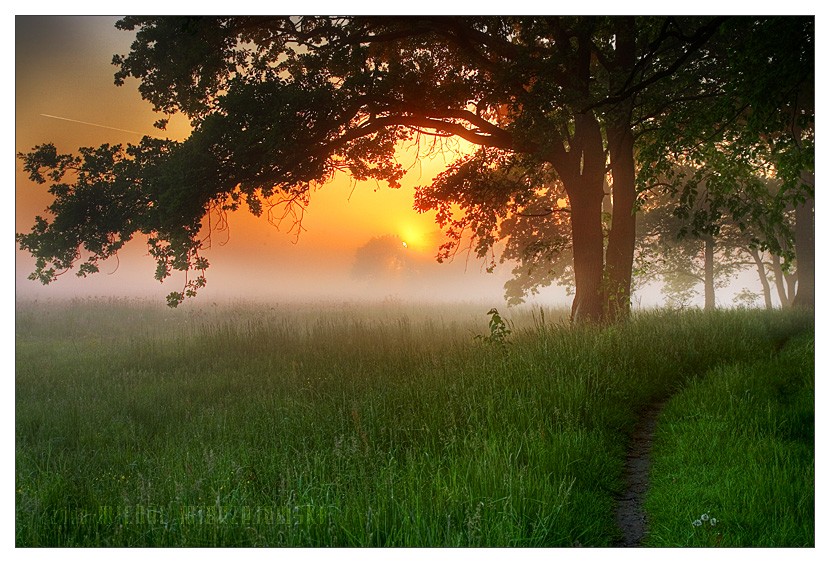 ���� :: �������� Michal Mierzejewski :: ���������� 2
