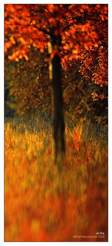 ���� :: �������� Michal Mierzejewski ���� 46