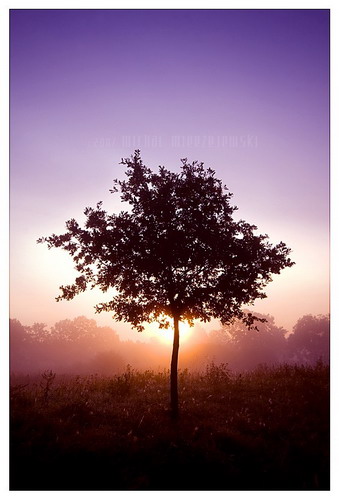���� :: �������� Michal Mierzejewski ���� 53