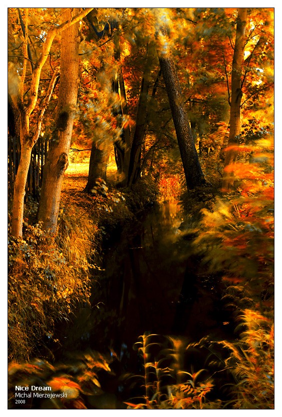 ���� :: �������� Michal Mierzejewski :: ���������� 2