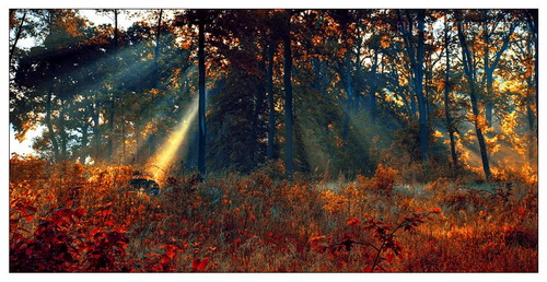 ���� :: �������� Michal Mierzejewski ���� 76