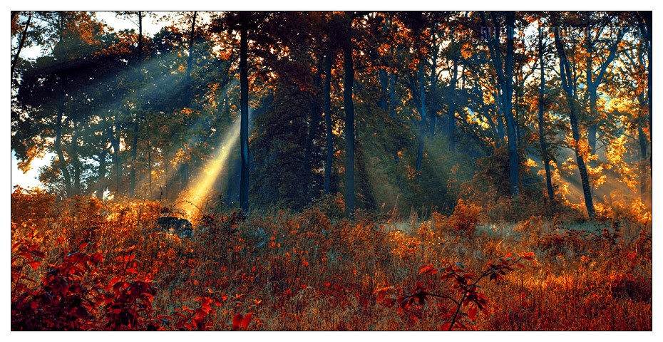 ���� :: �������� Michal Mierzejewski :: ���������� 2