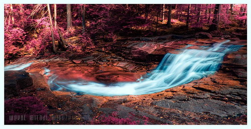 ���� :: �������� Michal Mierzejewski ���� 77