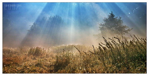 ���� :: �������� Michal Mierzejewski ���� 81