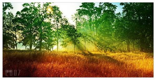 ���� :: �������� Michal Mierzejewski ���� 82