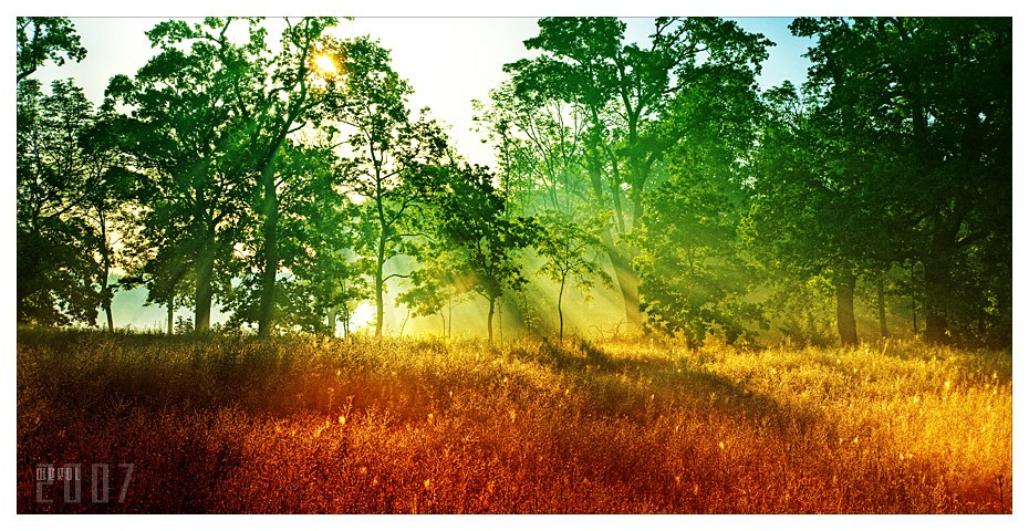���� :: �������� Michal Mierzejewski :: ���������� 2