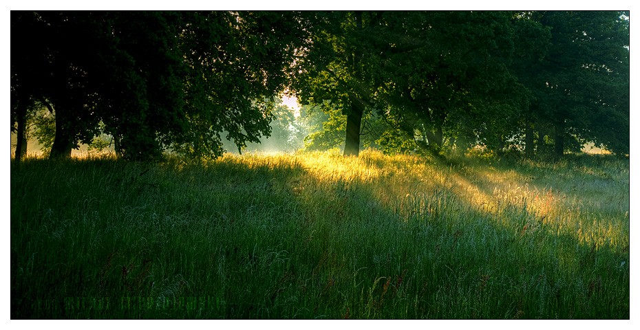 ���� :: �������� Michal Mierzejewski :: ���������� 2