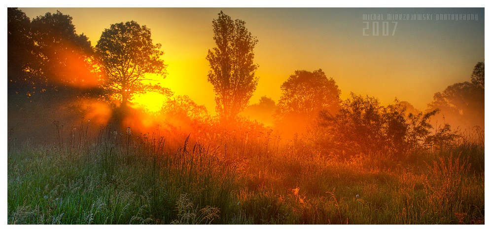 ���� :: �������� Michal Mierzejewski :: ���������� 2
