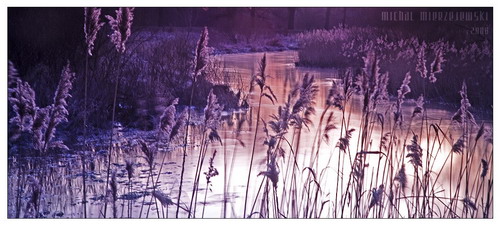 ���� :: �������� Michal Mierzejewski ���� 102