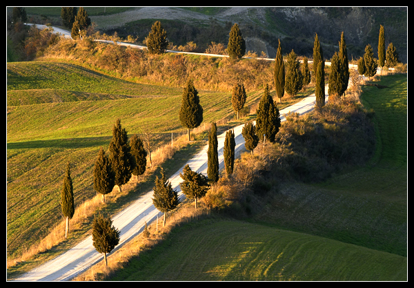 ���������� :: �������� Michele Berti ���� 17