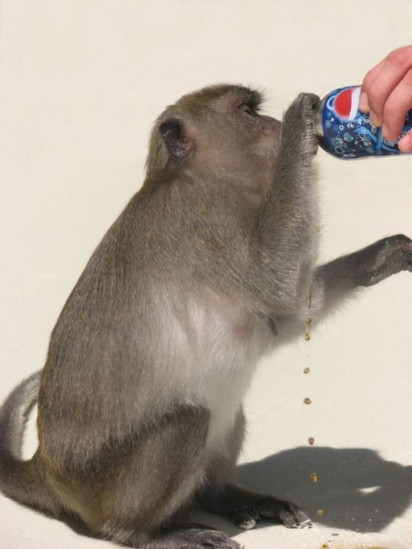 �������� :: ���������� 2