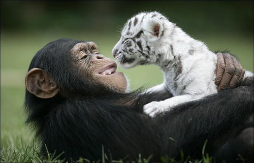 �������� ��������� ������ ���� 8