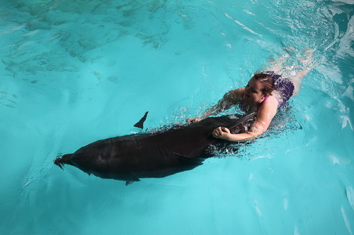 В бассейне с дельфинами фото 6