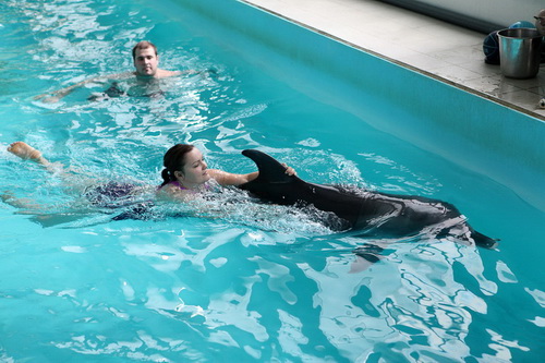 В бассейне с дельфинами фото 7