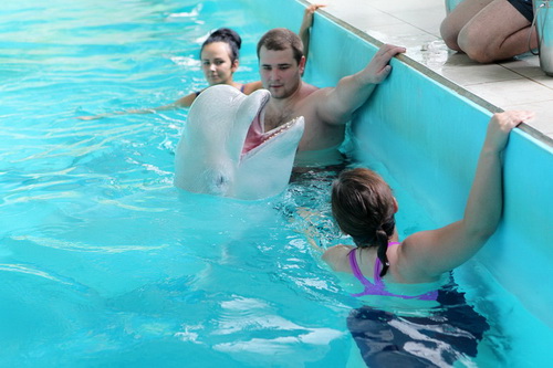 В бассейне с дельфинами фото 8