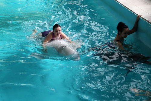 В бассейне с дельфинами фото 14