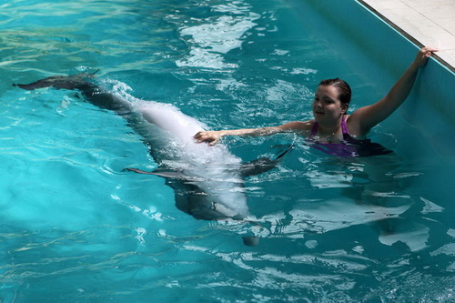 В бассейне с дельфинами фото 17
