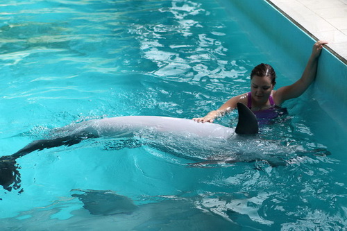 В бассейне с дельфинами фото 19