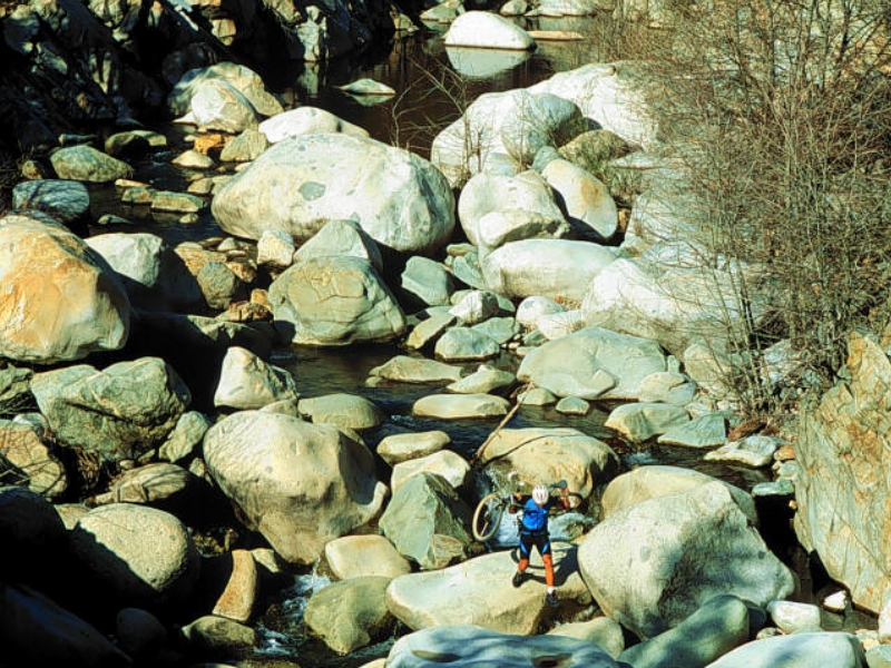 ��� ����� :: ������ ��������� :: ���������� 2