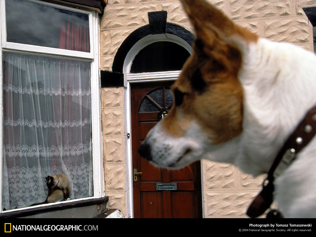 ����� �������� :: National Geographic :: ���������� 2