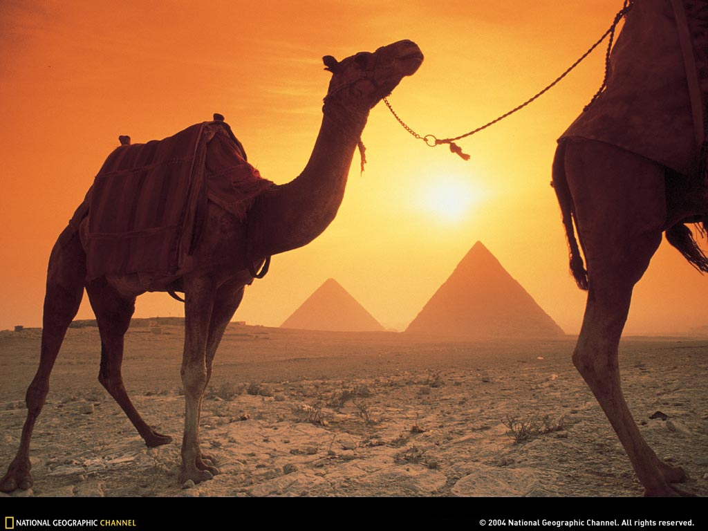 ����� �������� :: National Geographic :: ���������� 2