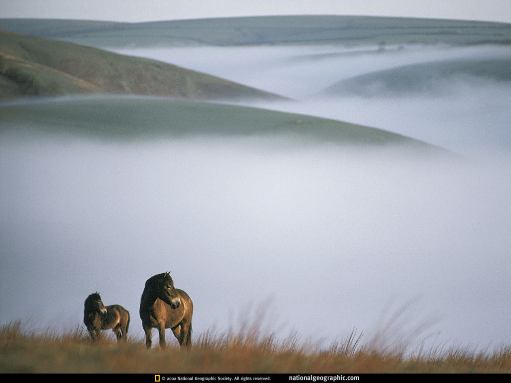 ����� �������� :: National Geographic :: ���������� 2