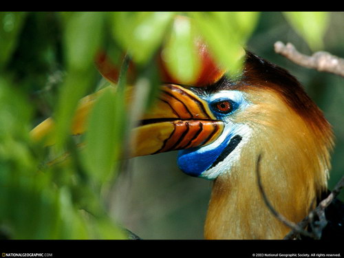 ����� �������� :: National Geographic ���� 24