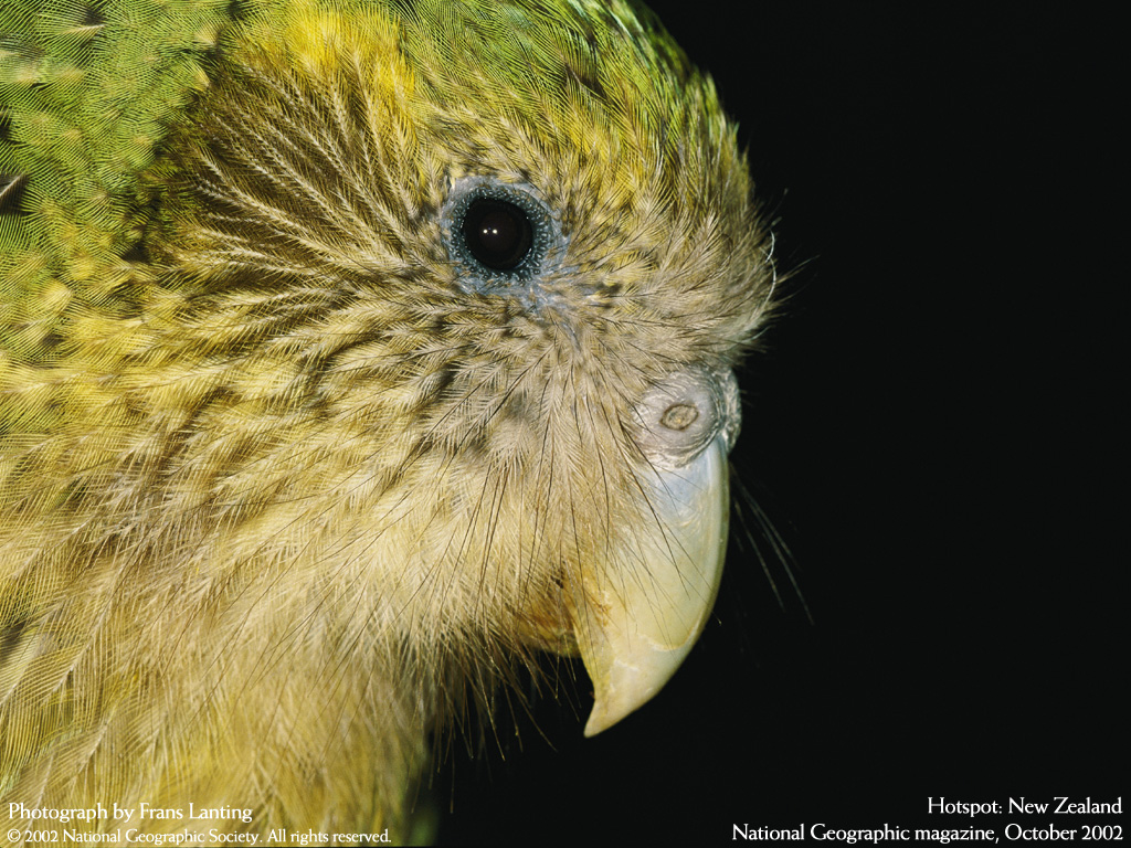����� �������� :: National Geographic :: ���������� 2