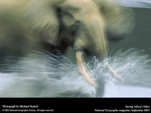 ����� �������� :: National Geographic ���� 27