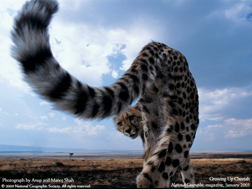 ����� �������� :: National Geographic ���� 34