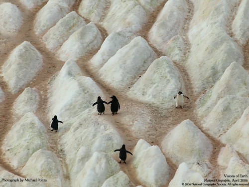 ����� �������� :: National Geographic ���� 35