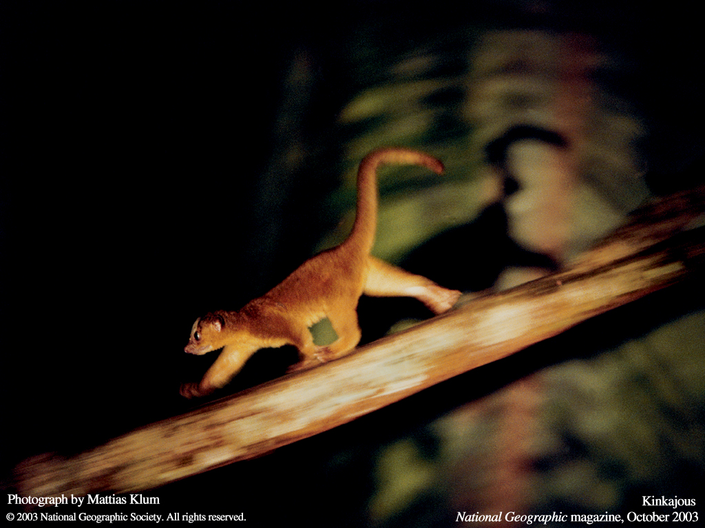 ����� �������� :: National Geographic :: ���������� 2