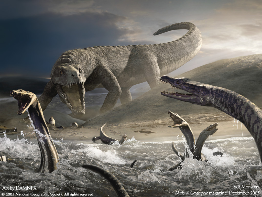 ����� �������� :: National Geographic :: ���������� 2