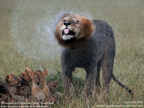 ����� �������� :: National Geographic ���� 49