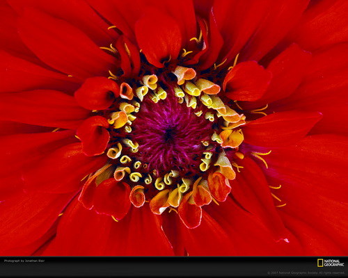���� National Geographic ���� 2