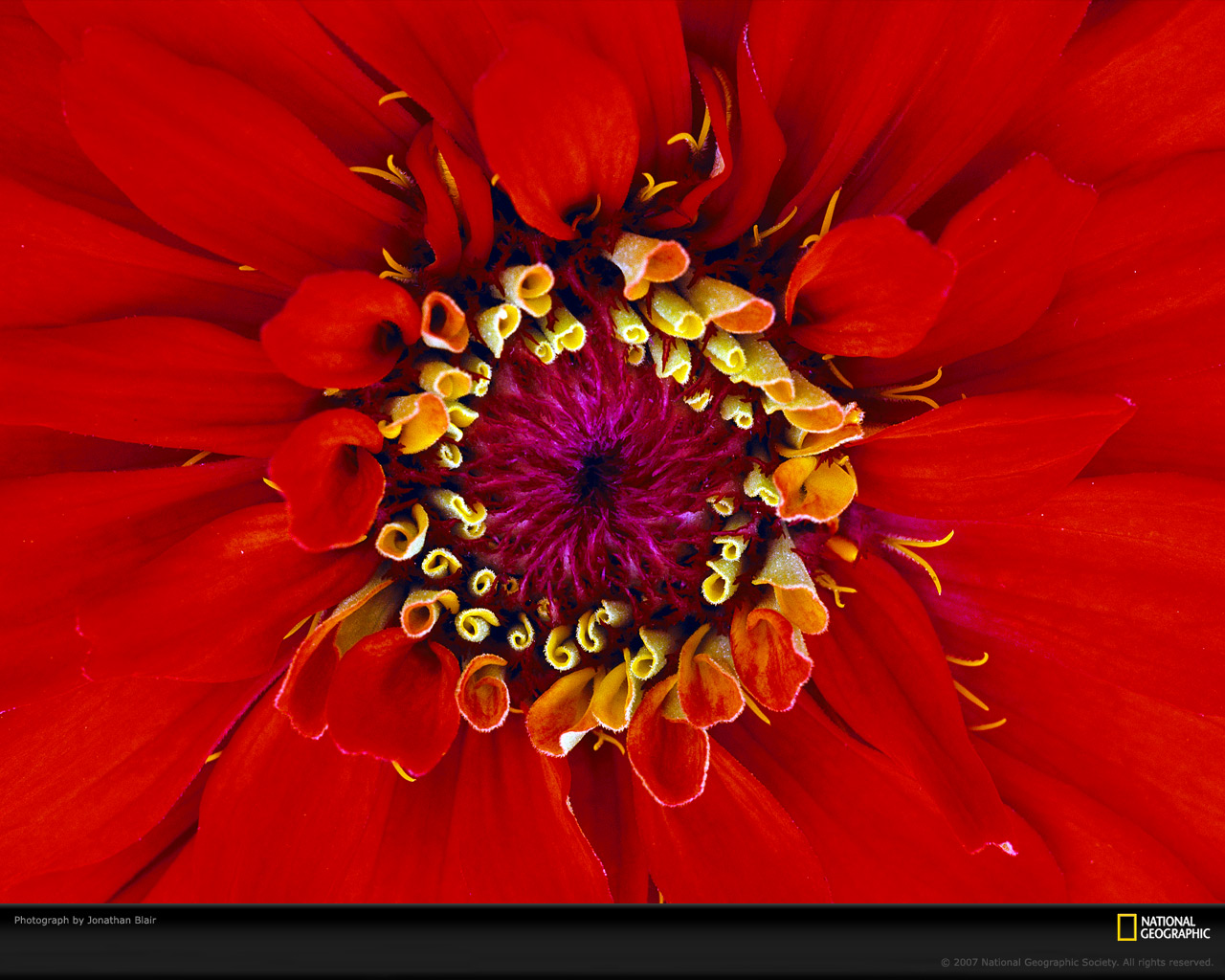 ���� National Geographic :: ���������� 1