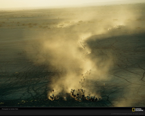 ���� National Geographic ���� 3