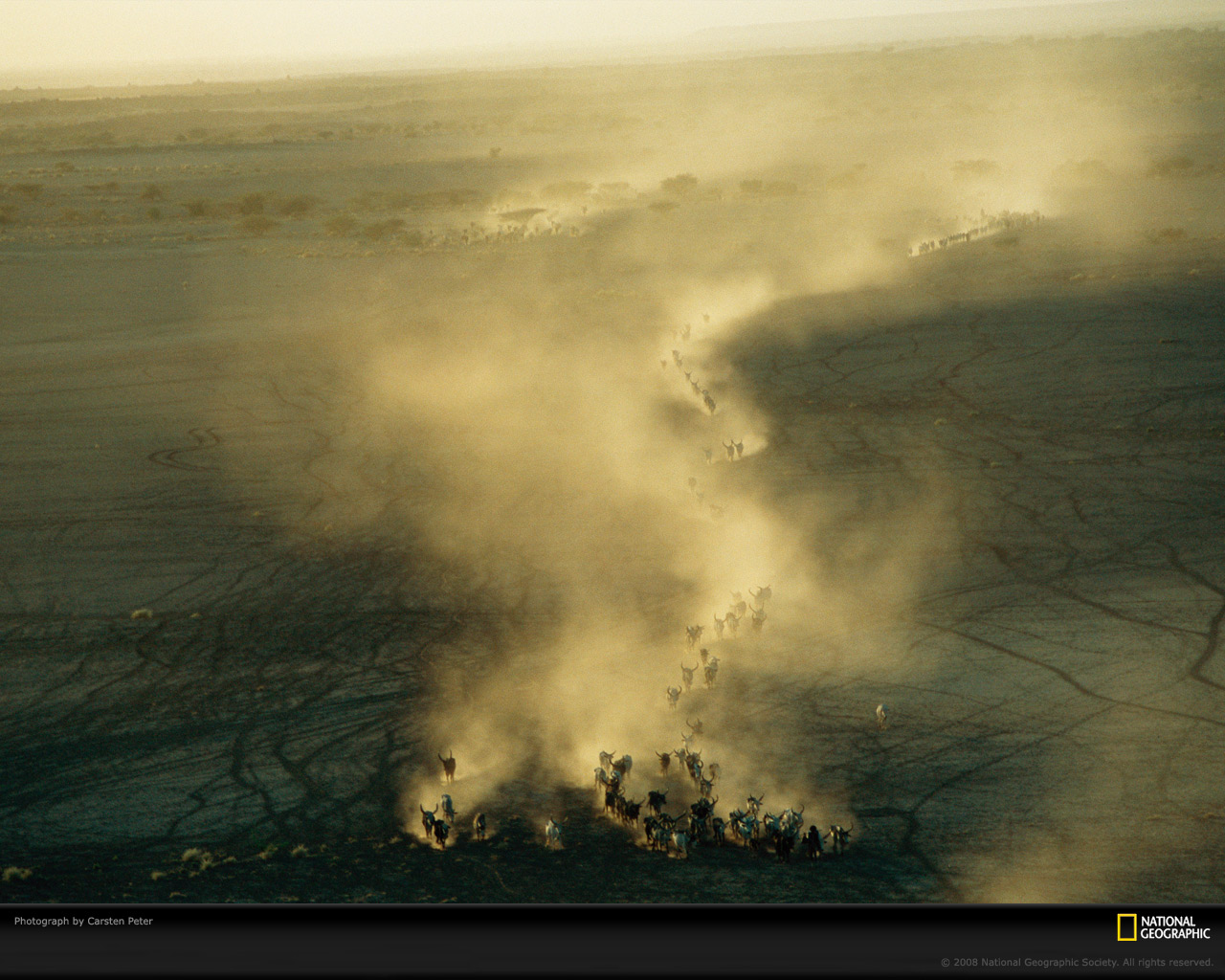 ���� National Geographic :: ���������� 1