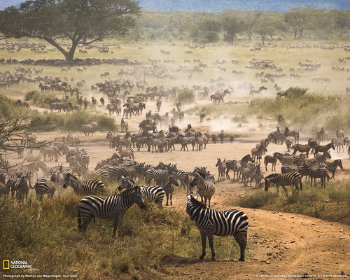 ���� National Geographic ���� 6