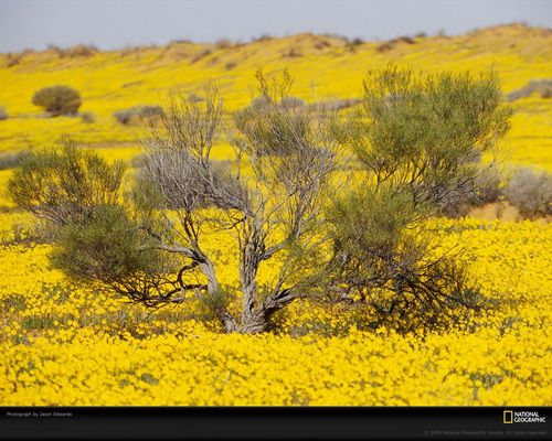 ���� National Geographic ���� 12