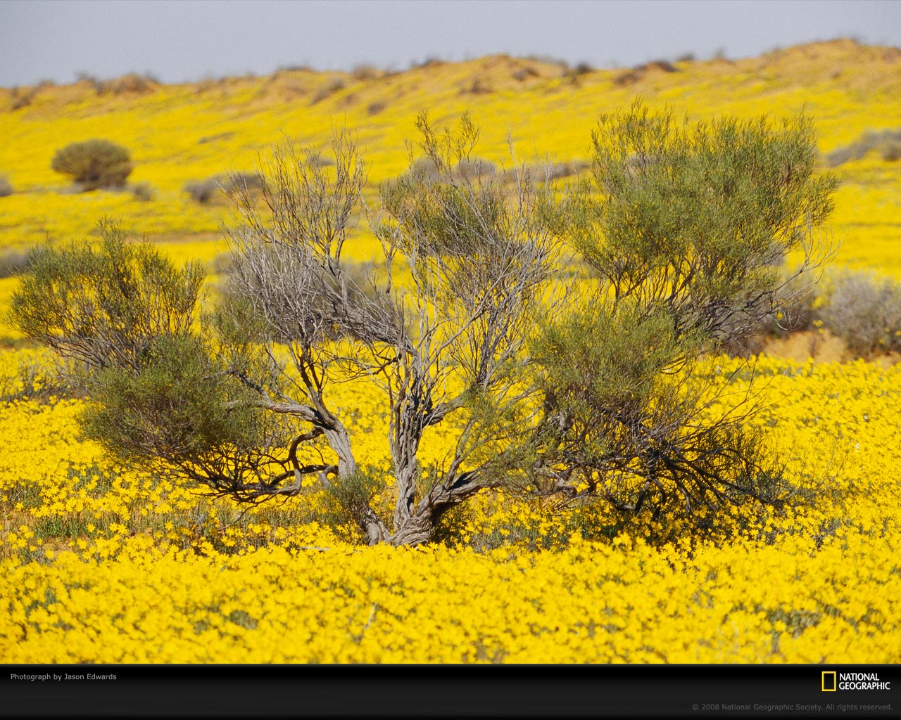 ���� National Geographic :: ���������� 1