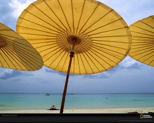 ���� National Geographic ���� 13