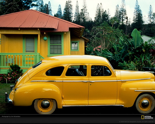 ���� National Geographic ���� 23