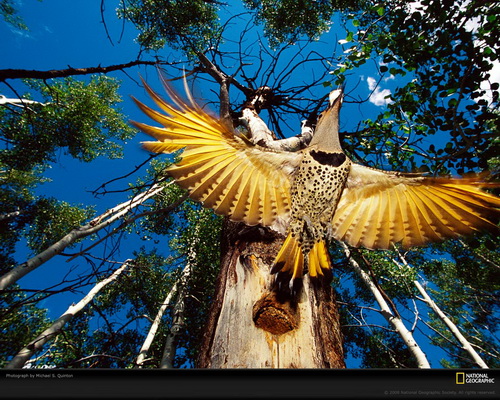 ���� National Geographic ���� 25