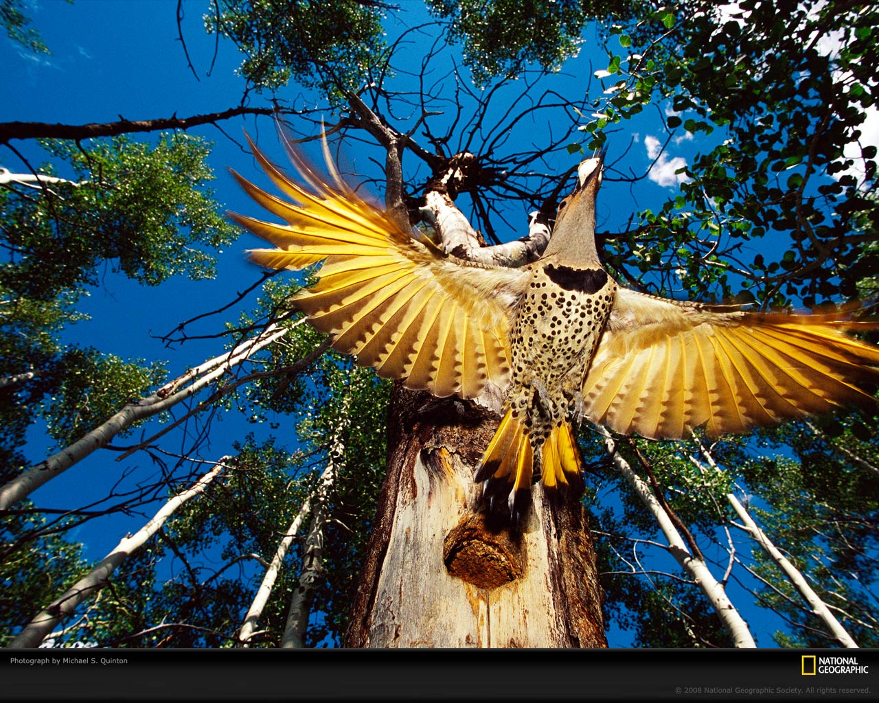 ���� National Geographic :: ���������� 1