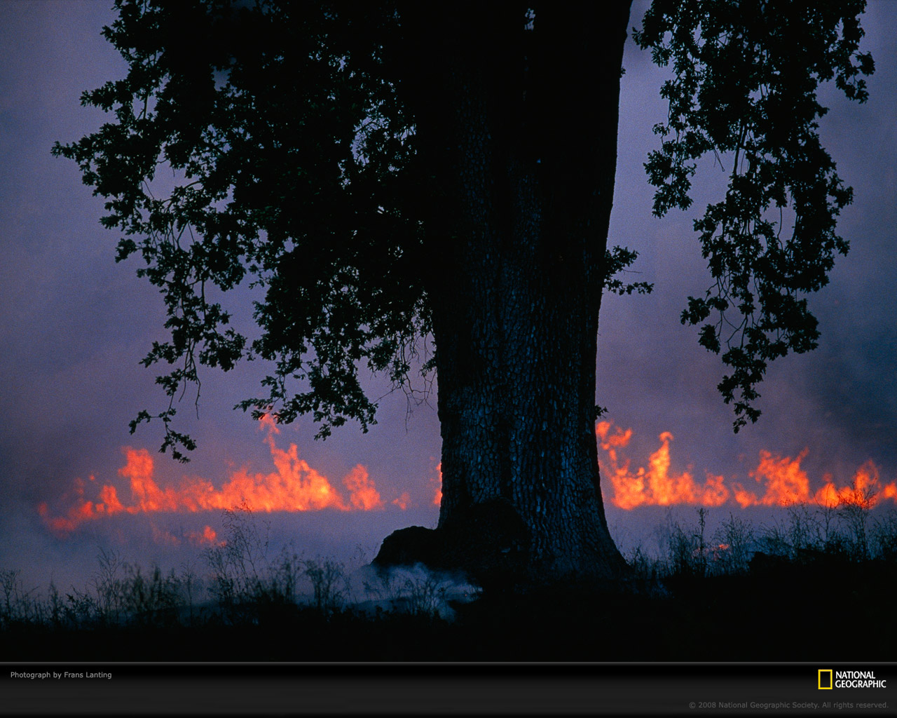 ���� National Geographic :: ���������� 1