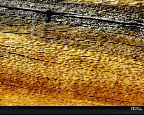 ���� National Geographic ���� 38